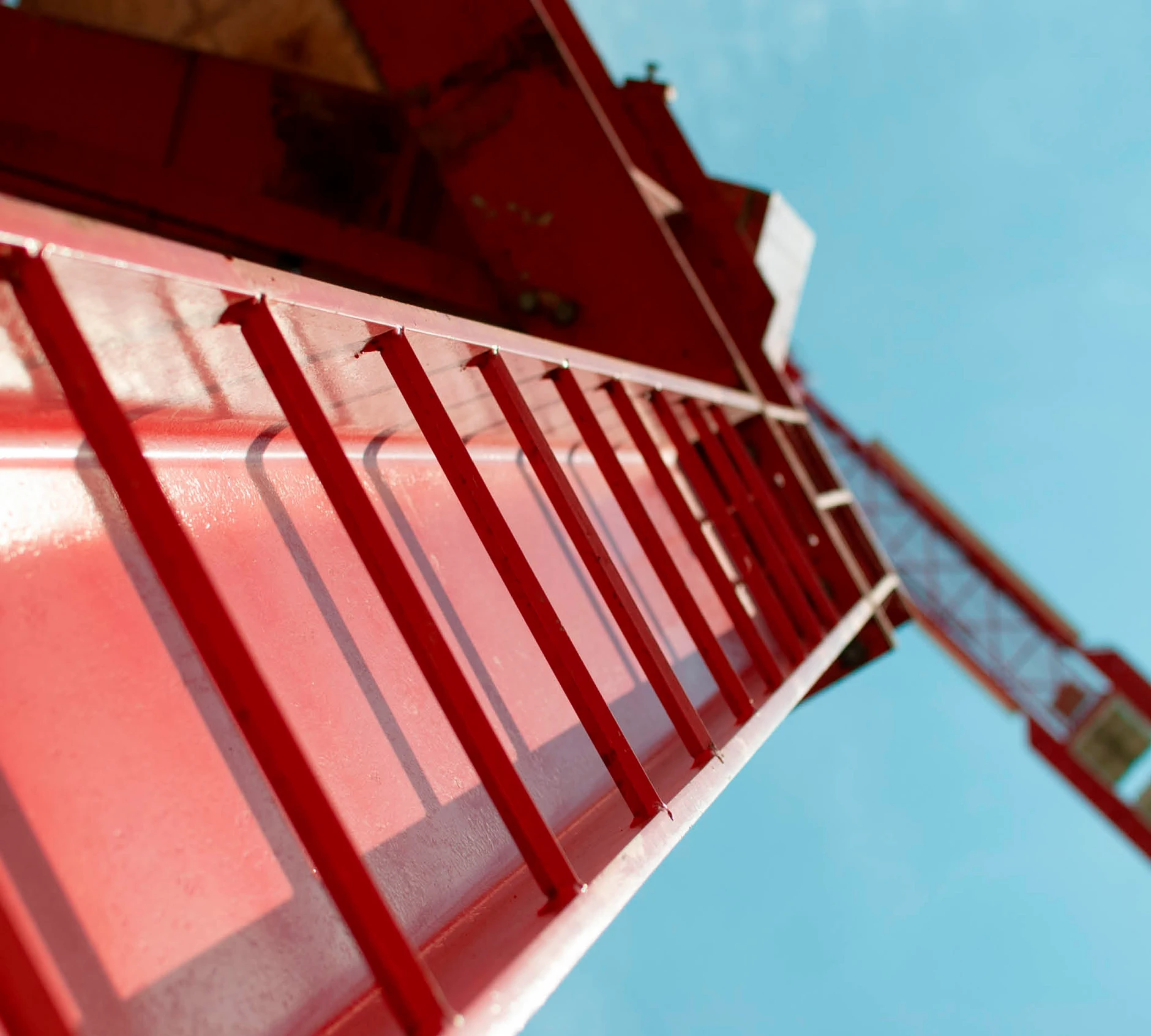 Red crane
